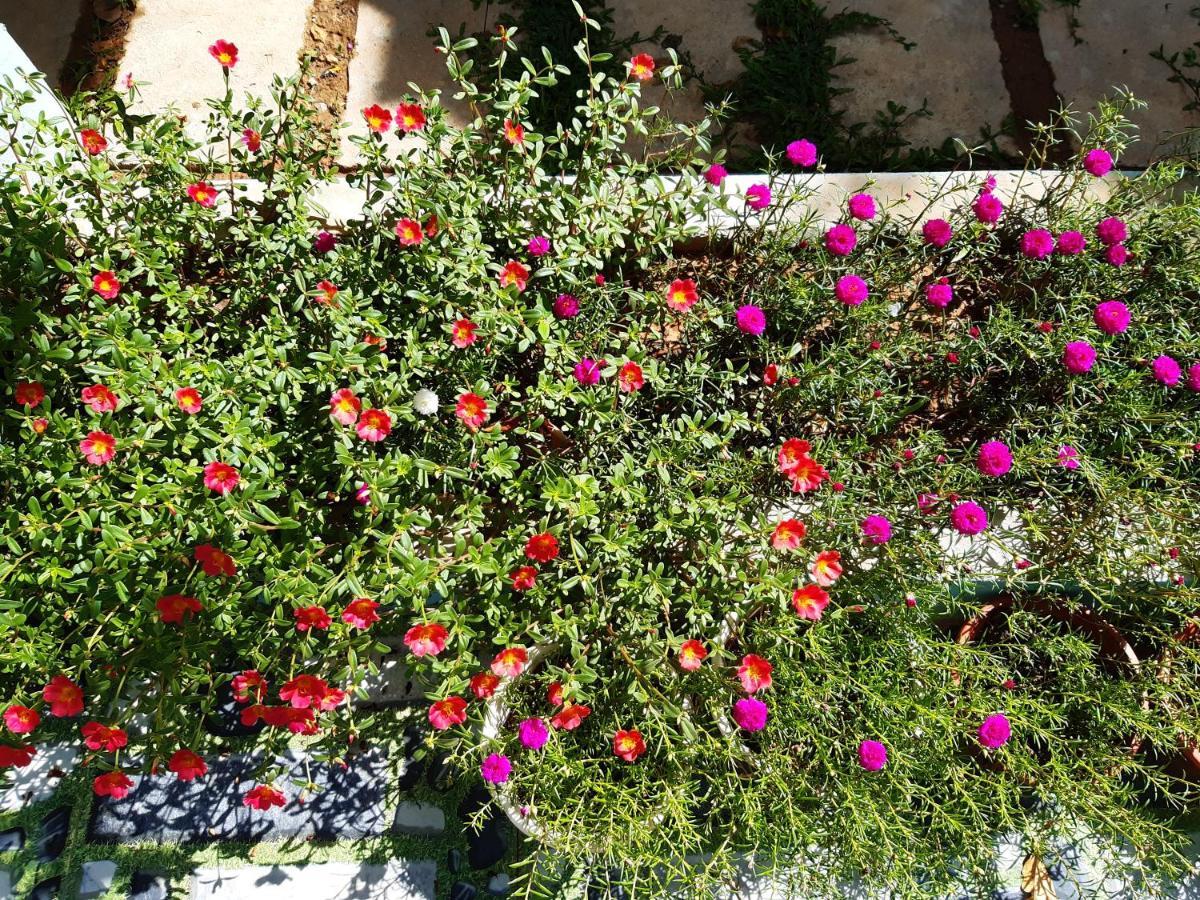 Phong Nha Bolero Bungalow Εξωτερικό φωτογραφία