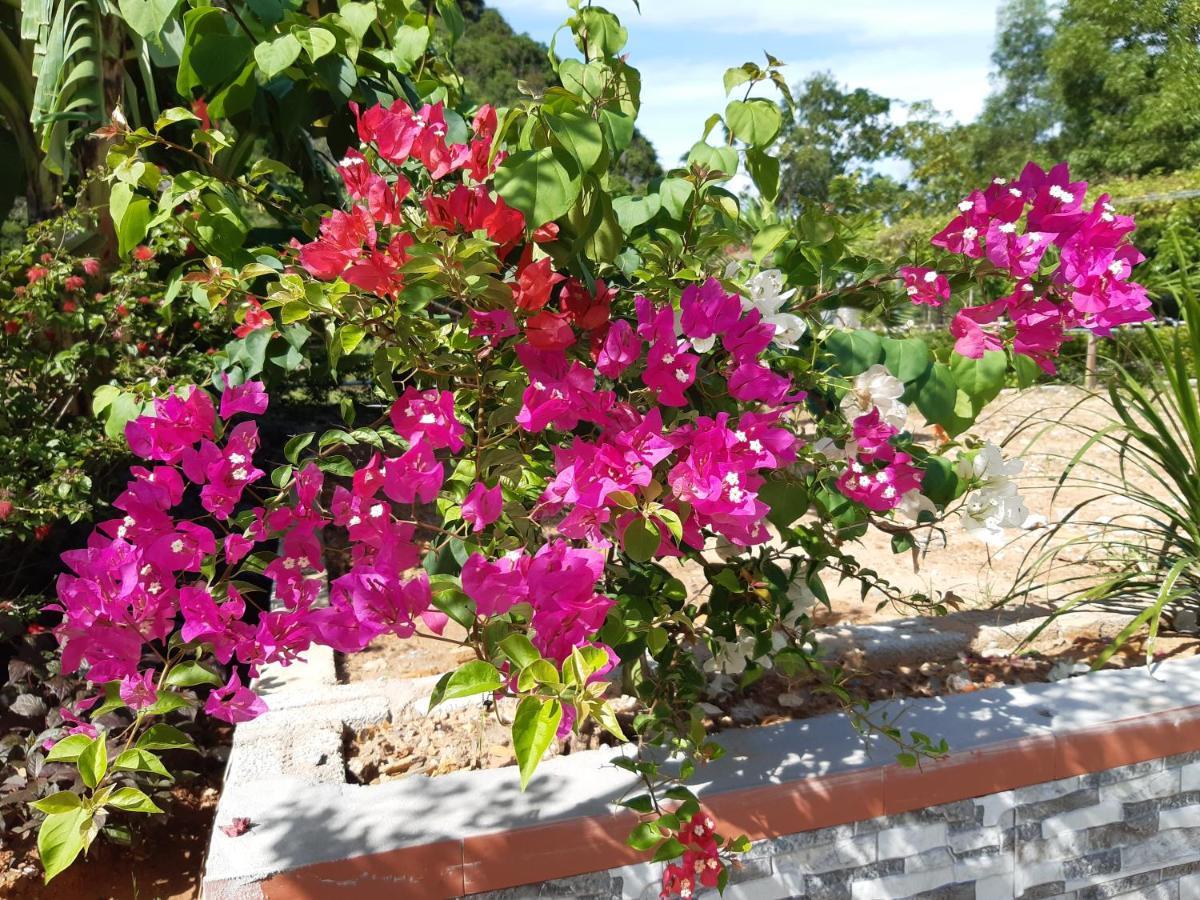 Phong Nha Bolero Bungalow Εξωτερικό φωτογραφία