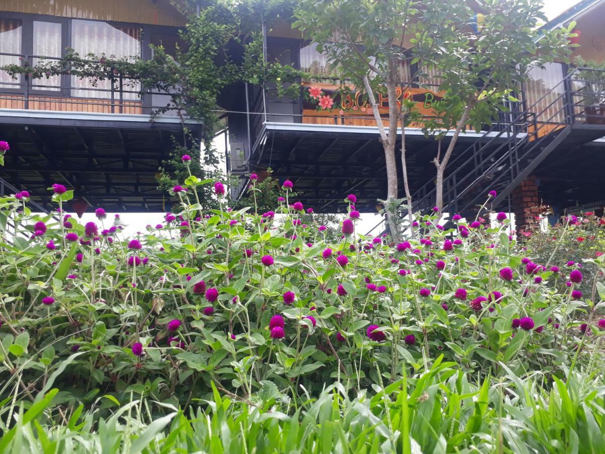 Phong Nha Bolero Bungalow Εξωτερικό φωτογραφία
